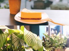 柚子芝士-Seesaw Coffee(深圳万象天地店)
