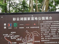 -重庆彩云湖湿地公园