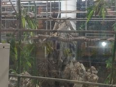 -荔城生鲜盛宴(番禺旗舰店)