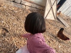 -甜心庄园·甜心草莓采摘园(西青中北店)