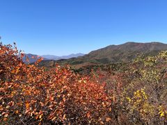 -北京西山国家森林公园