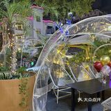 深圳探店迎新年🎈元旦霸王餐等你🍽️
