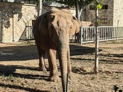 -石家庄市动物园