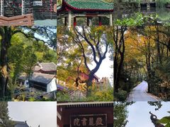 -岳麓山风景名胜区