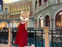 -澳门威尼斯人综合度假区