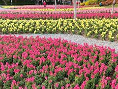 -文华公园(禅城区)