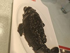 -添福来墨鱼饺子 · 海鲜东北菜(泡崖店)