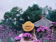 -杭州城北体育公园