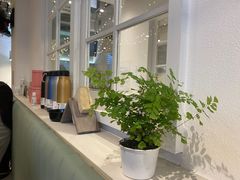 -杏甜品(尖沙咀加拿分道店)