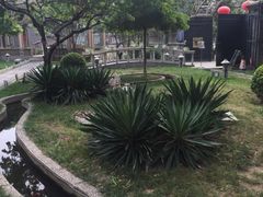 -卫鼎轩·曹公馆(鼓楼店)