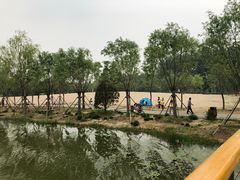 -东郊湿地公园
