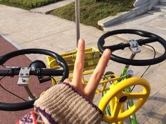 -武清南湖绿博园