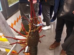 -悉尼鱼市场