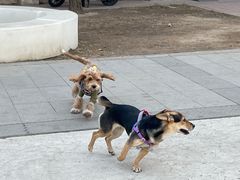 -小意思咖啡店(草桥店)