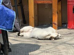 -打绳米面老店(打绳巷二中店)