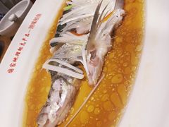 -丹江渔村(望京店)