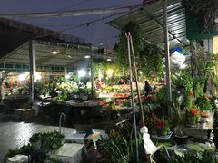 -曲阳花鸟市场(曲阳路店)
