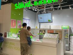 -Salud撒露欧洲冻酸奶(北苑上品店)