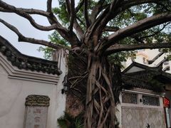 -墨池公园