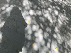 -米果果小镇