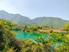 -龙坞茶村