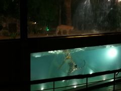 -清迈夜间动物园