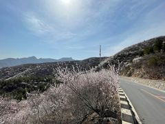 -妙峰山风景名胜区