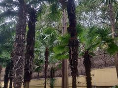 -徐家汇源景区-衡山公园