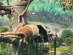 -石排湾郊野公园