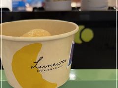 -LUNEURS月乐诗·法式冰淇淋(环贸店)