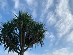 -东莞植物园