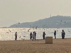 -青岛第二海水浴场