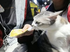 -谜盒子奇幻密室(南屏店)