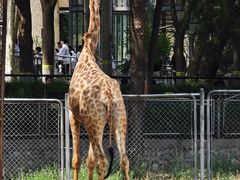 -石家庄市动物园