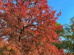 -西山人家·传统苏帮菜·家宴(木渎店)