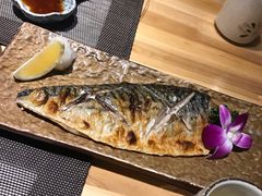 烤青花鱼-立山居酒屋·烧鸟 天妇罗(西北湖店)