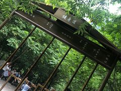 -青峰峡国家森林公园