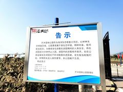 -芒洲湿地公园