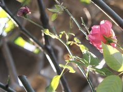 -南京市民俗博物馆(甘熙宅第)