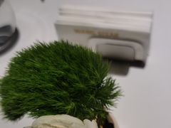 -王品牛排(合肥万象城店)