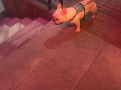 -the rug 飞毯 (朝阳公园店)