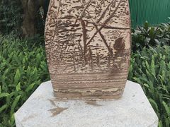 -东莞植物园