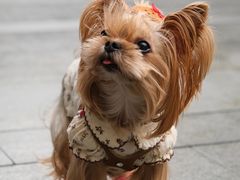 -星巴克臻选(深圳万象天地旗舰店)