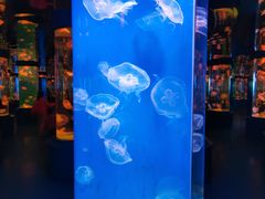 -石林冰雪海洋世界