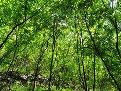 -十渡东湖港风景区