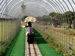 -长洲岛都市农业公园