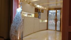 点击看大图 -英芬国际月子中心(岛屿度假月子·洲至奢选香岚店)
