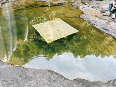 -刘伯温故里景区百丈漈
