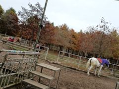 -上海海湾国家森林公园
