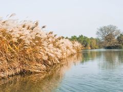 -西溪国家湿地公园